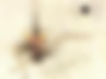 Untitled (preview)