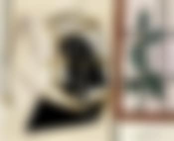 Nature morte avec oiseau en cage (preview)