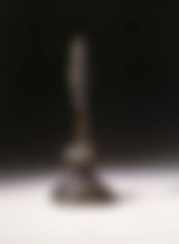 Buste de Diego (preview)