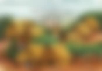Village (preview)
