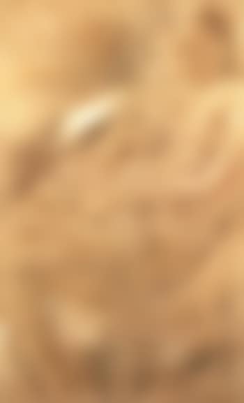 Seated woman (preview)