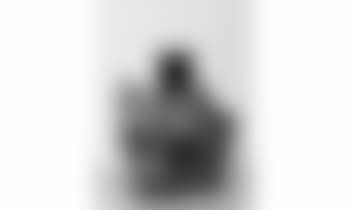 Buste de femme (preview)