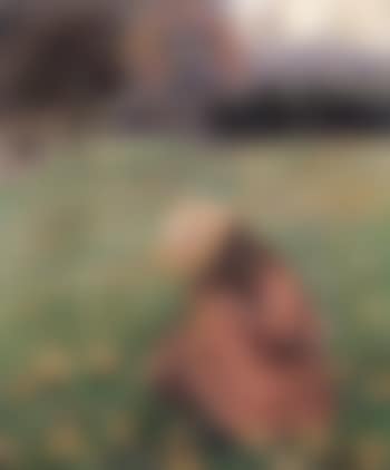 Les Crocus (preview)