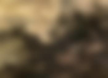 Wooded landscape with sheep grazing by a winding track (preview)