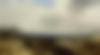 Extensive landscape with sheep in the foreground and cottages and church (preview)