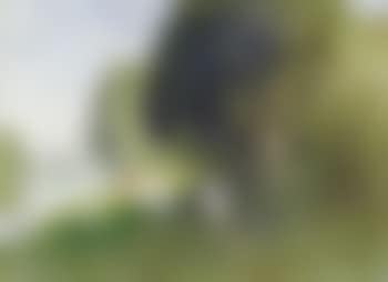 Promeneurs en bord de Seine a Veneux les sablons (preview)