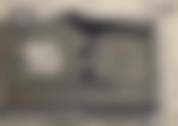 Nature morte au merle noir (preview)