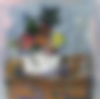 Still life (preview)