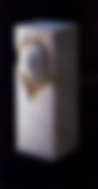 Column with head (preview)