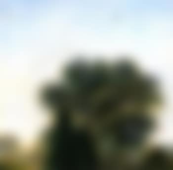 Untitled No 371 (preview)