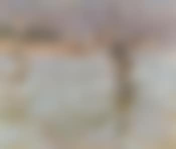 San Michel from Fondamente Nuove (preview)