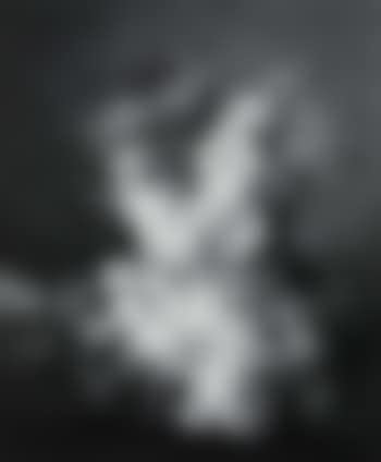 Still life of flowers and fruit on marble ledge (preview)