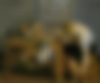 Couple sitting at table (preview)