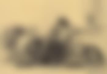 Consultation in court (preview)