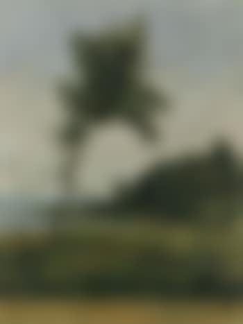 Wooded shore of Lake Geneva, steamship beyond (preview)
