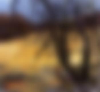 Autumn, Koster (preview)
