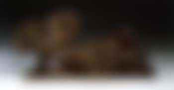 Les petites ondines (preview)