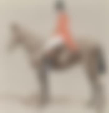 The master (preview)