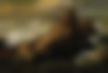 Rock in sea, sailing ship on the horizon (preview)