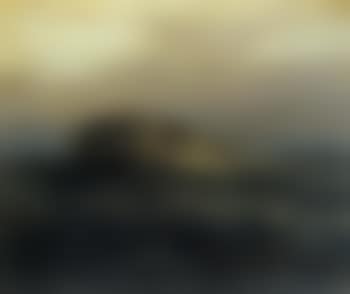 The derelict (preview)