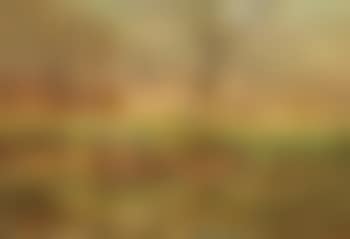 Paysage pres de Deurle (preview)