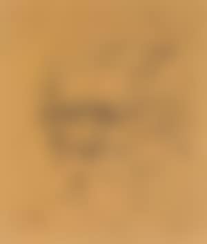 Portrait of bearded old man with cap (preview)