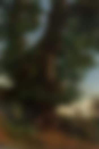 Summer's morning (preview)
