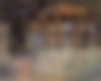 Dog in the kitchen (preview)