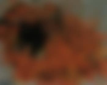 Il sole (preview)