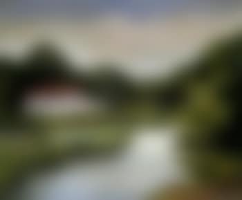 Bosco sul fiume (preview)
