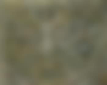 Figure (preview)