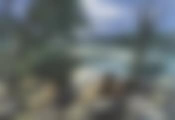 Rives du Rhone (preview)