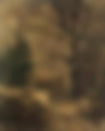 Huntsmen in a wood (preview)