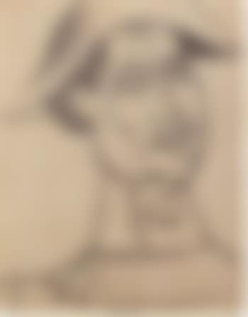 Tete d'arlequin (preview)