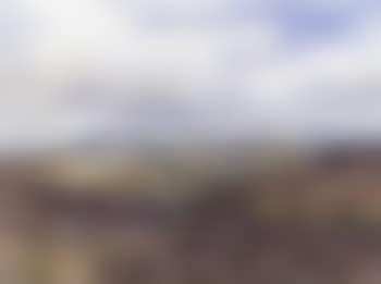 Shepherd and sheep in an extensive moorland landscape (preview)