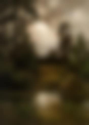 Wooded landscape with watercourse (preview)