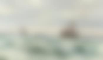 Fishing boats at sea (preview)