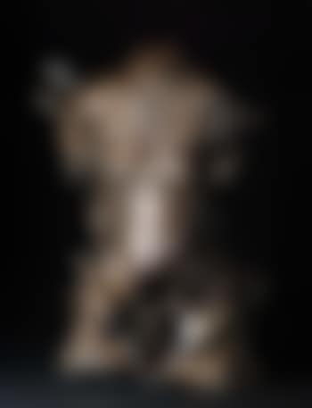 Female torso (preview)