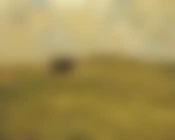 Hut on the heath (preview)