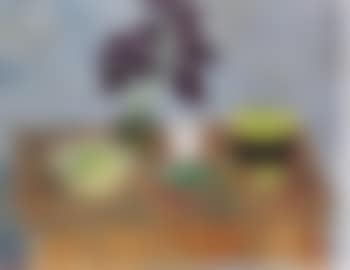 Still life with fruit and potted plant (preview)