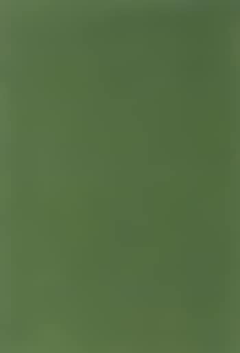 A section of Ella and Einar Gronbek's lawn, Thursday 4 October (preview)