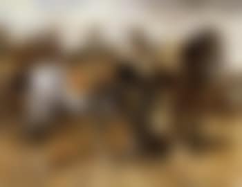 Troop French Cuirasiers (preview)