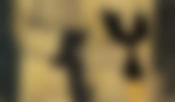 Composition (preview)
