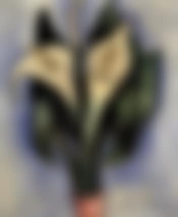 Callas (preview)