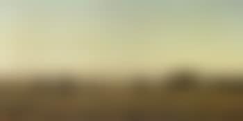 Indian Reservation (preview)
