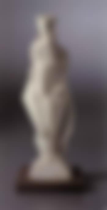 Femme nue debout (preview)