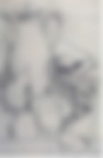 Studio per la theire de porcelaine (preview)