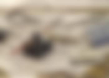 Nature morte a l'encrier (preview)