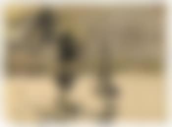 Dampfer und Segelboot (preview)