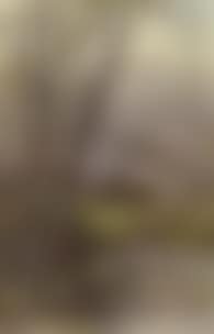 Spring landscape with apple blossoms (preview)